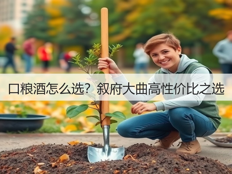 口粮酒怎么选？叙府大曲高性价比之选