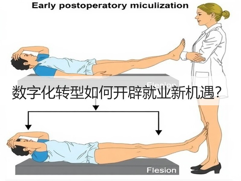数字化转型如何开辟就业新机遇？