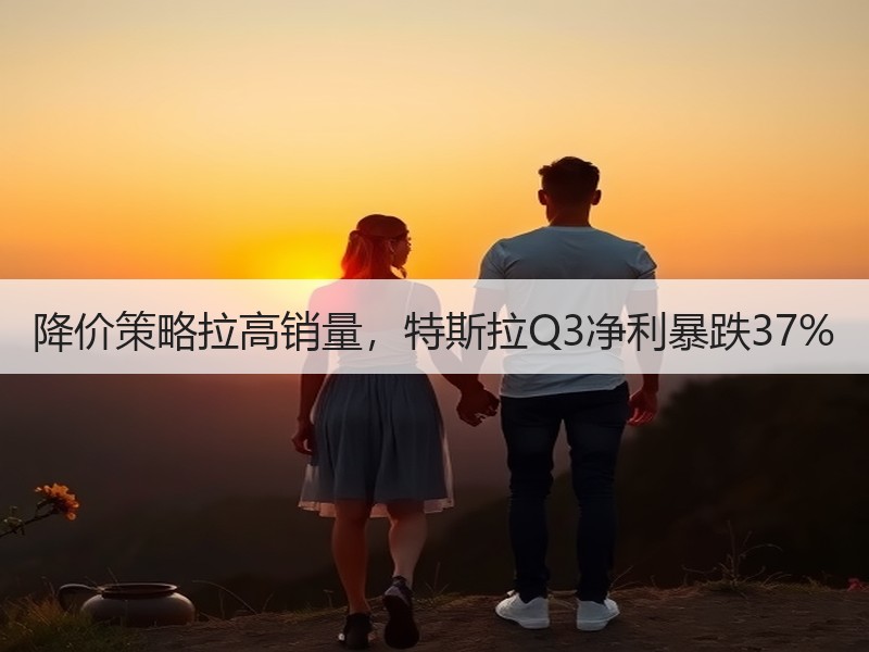 降价策略拉高销量，特斯拉Q3净利暴跌37