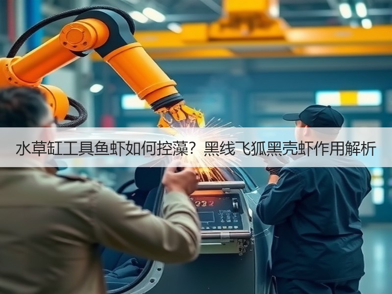 水草缸工具鱼虾如何控藻？黑线飞狐黑壳虾作