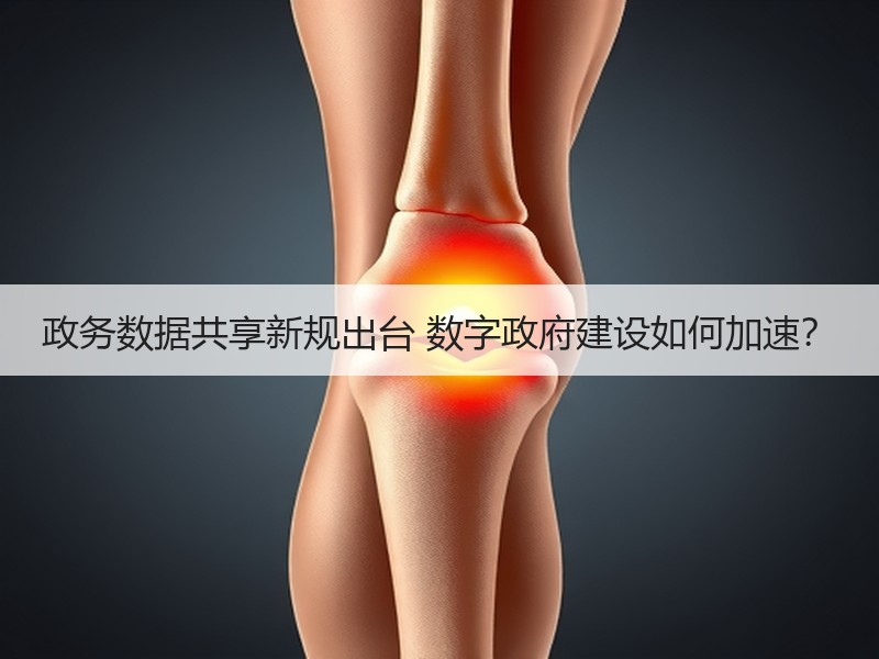 政务数据共享新规出台 数字政府建设如何加