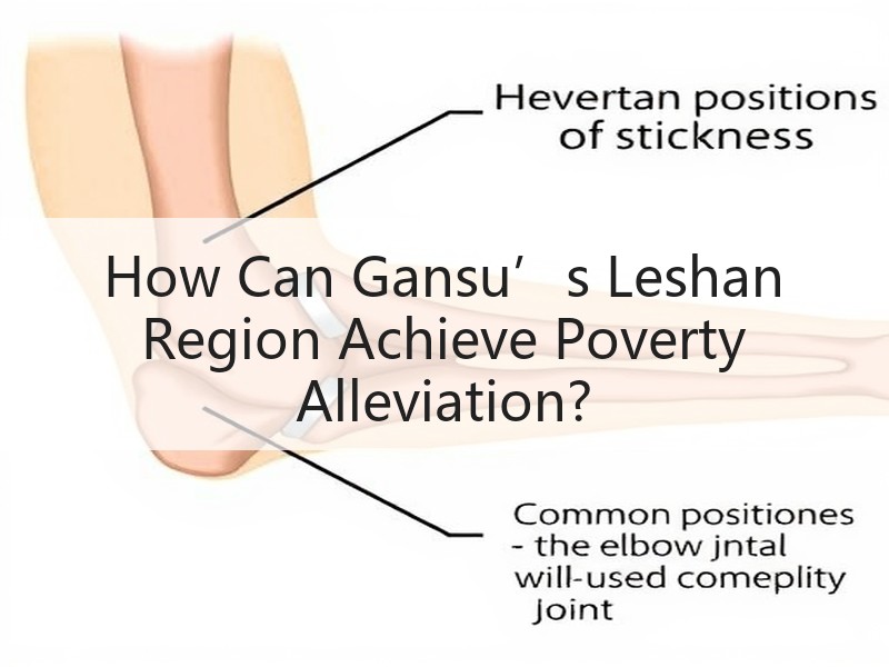 How Can Gansu’s Lesh