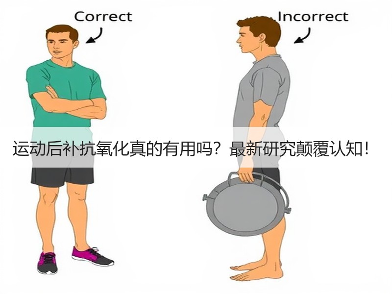运动后补抗氧化真的有用吗？最新研究颠覆认