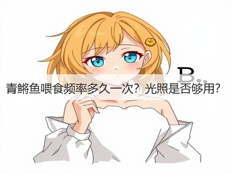 青鳉鱼喂食频率多久一次？光照是否够用？