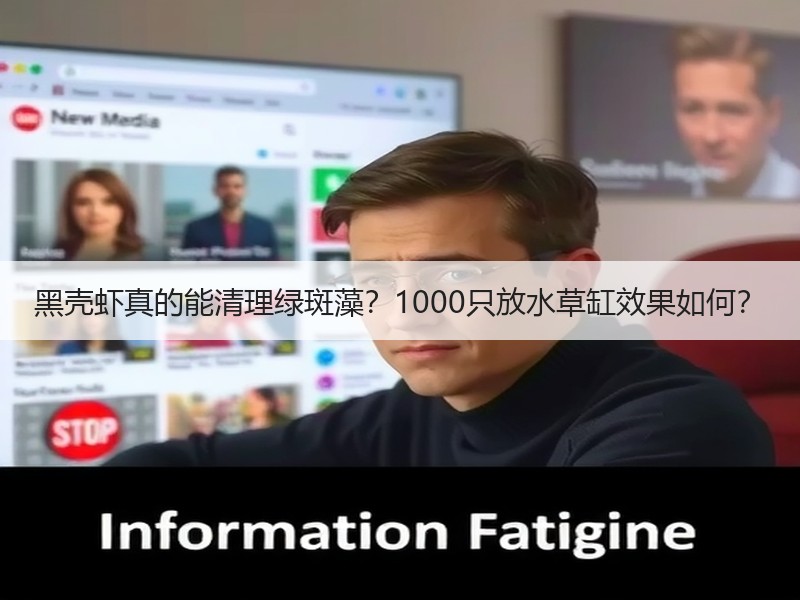黑壳虾真的能清理绿斑藻？1000只放水草