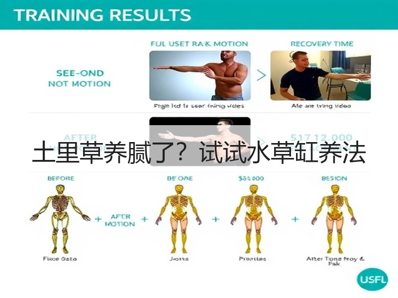 土里草养腻了？试试水草缸养法