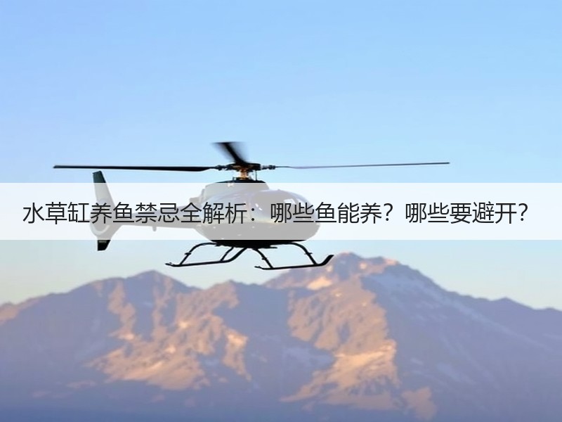 水草缸养鱼禁忌全解析：哪些鱼能养？哪些要