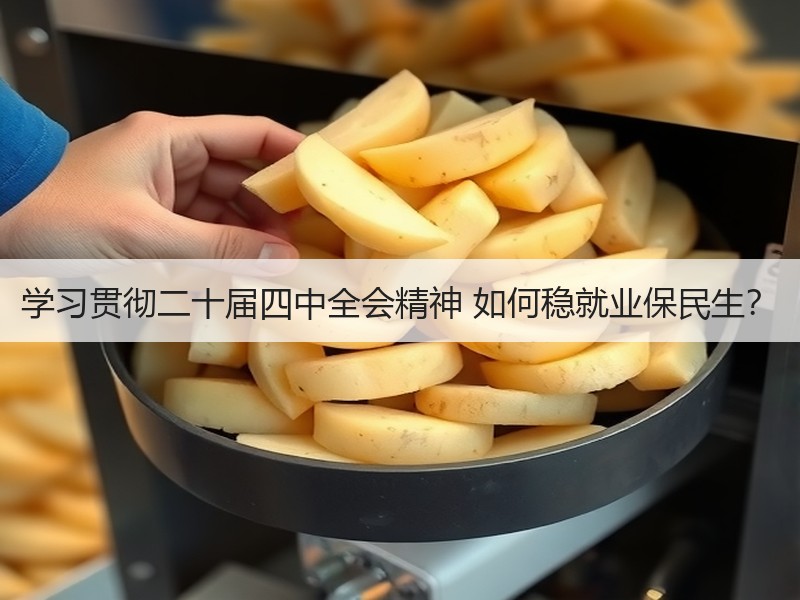 学习贯彻二十届四中全会精神 如何稳就业保