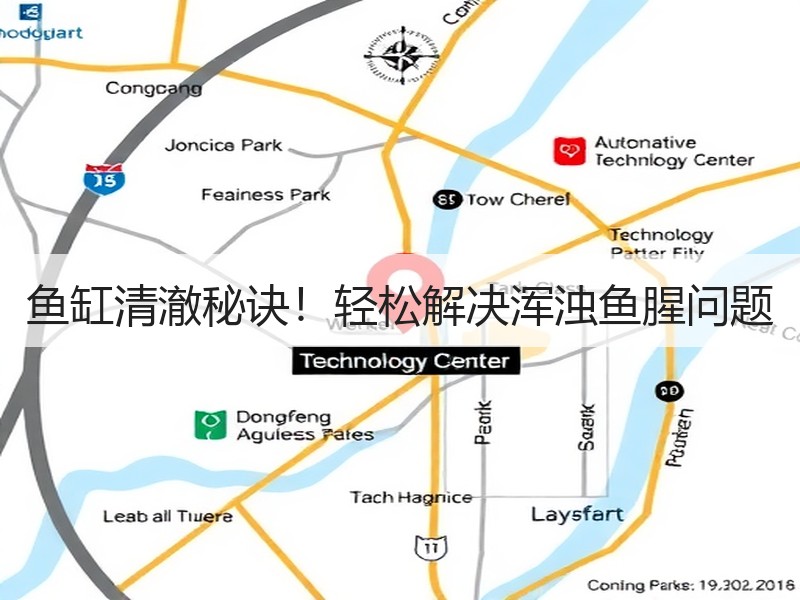 鱼缸清澈秘诀！轻松解决浑浊鱼腥问题