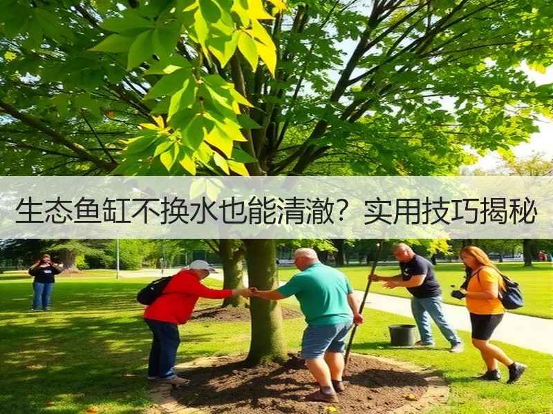生态鱼缸不换水也能清澈？实用技巧揭秘