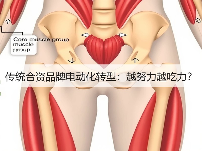 传统合资品牌电动化转型：越努力越吃力？