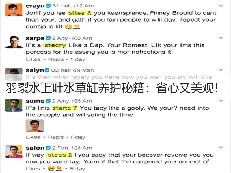 羽裂水上叶水草缸养护秘籍：省心又美观！