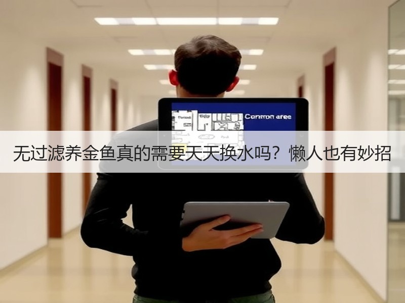无过滤养金鱼真的需要天天换水吗？懒人也有