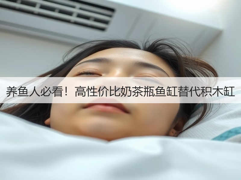 养鱼人必看！高性价比奶茶瓶鱼缸替代积木缸