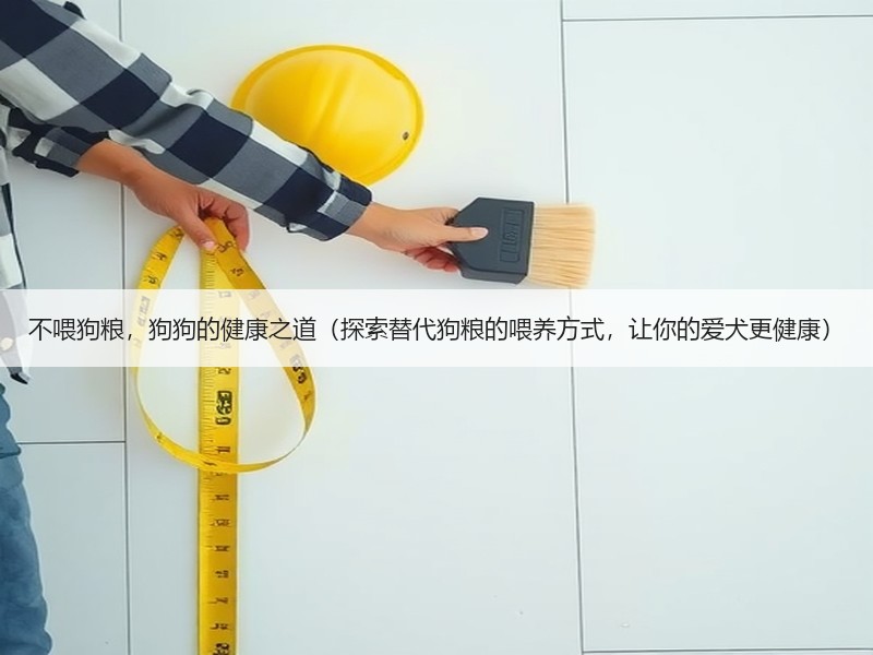 不喂狗粮，狗狗的健康之道（探索替代狗粮的