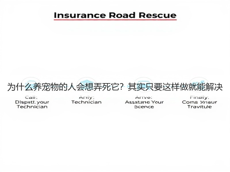 为什么养宠物的人会想弄死它？其实只要这样