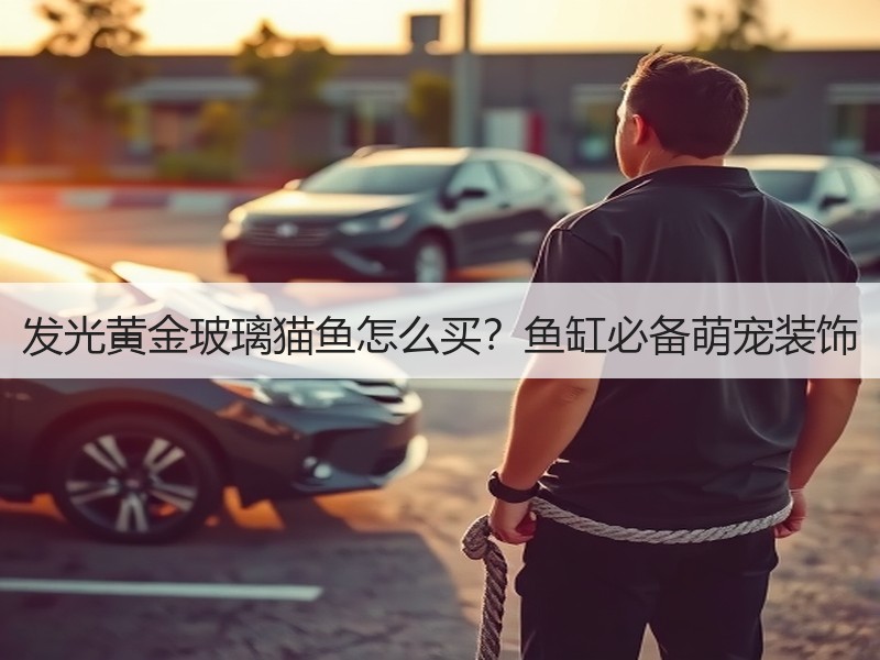 发光黄金玻璃猫鱼怎么买？鱼缸必备萌宠装饰