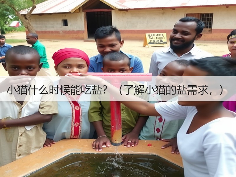 小猫什么时候能吃盐？（了解小猫的盐需求，