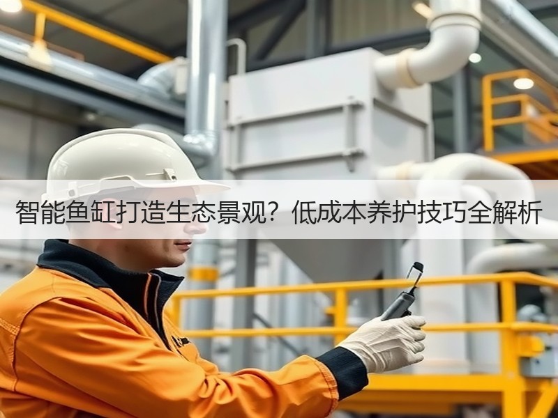 智能鱼缸打造生态景观？低成本养护技巧全解