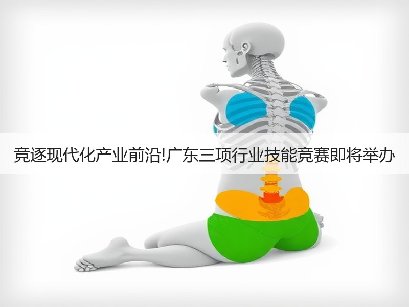 竞逐现代化产业前沿!广东三项行业技能竞赛