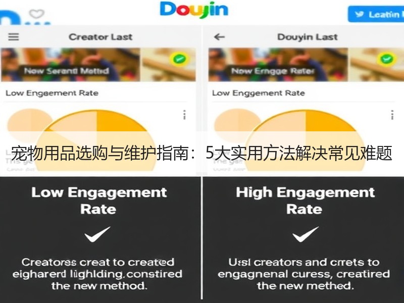 宠物用品选购与维护指南：5大实用方法解决