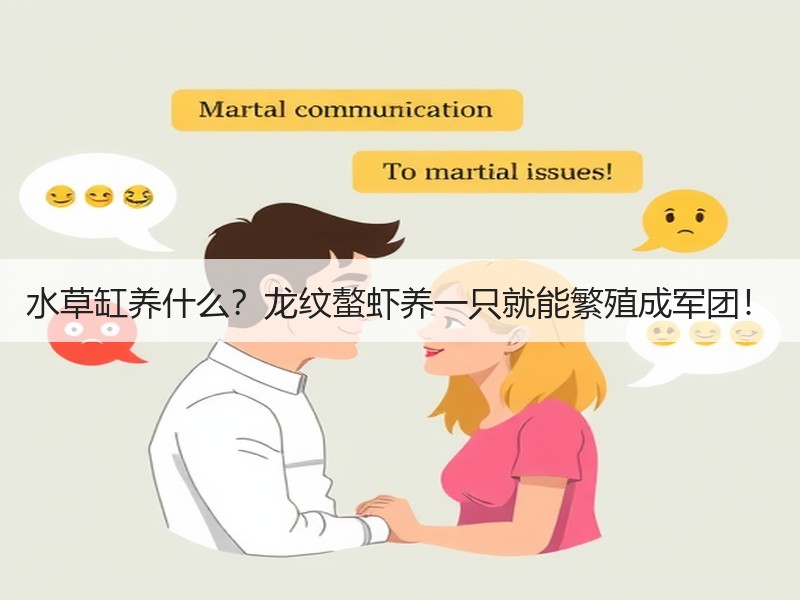 水草缸养什么？龙纹螯虾养一只就能繁殖成军