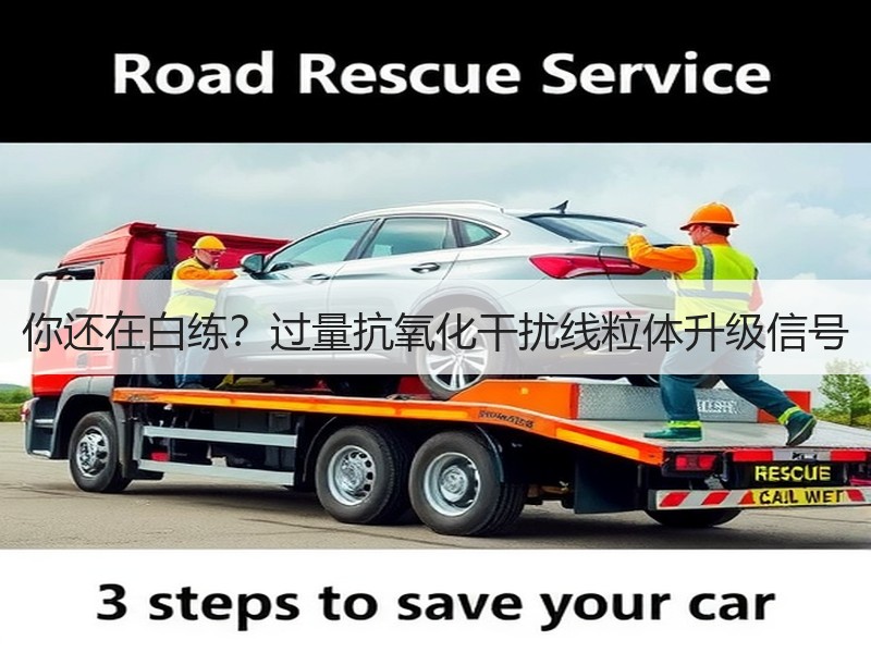 你还在白练？过量抗氧化干扰线粒体升级信号