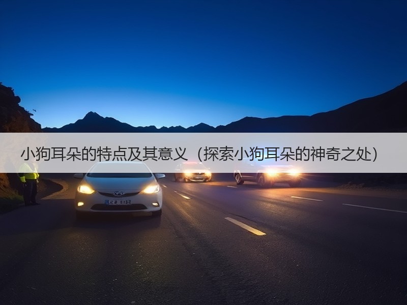 小狗耳朵的特点及其意义（探索小狗耳朵的神