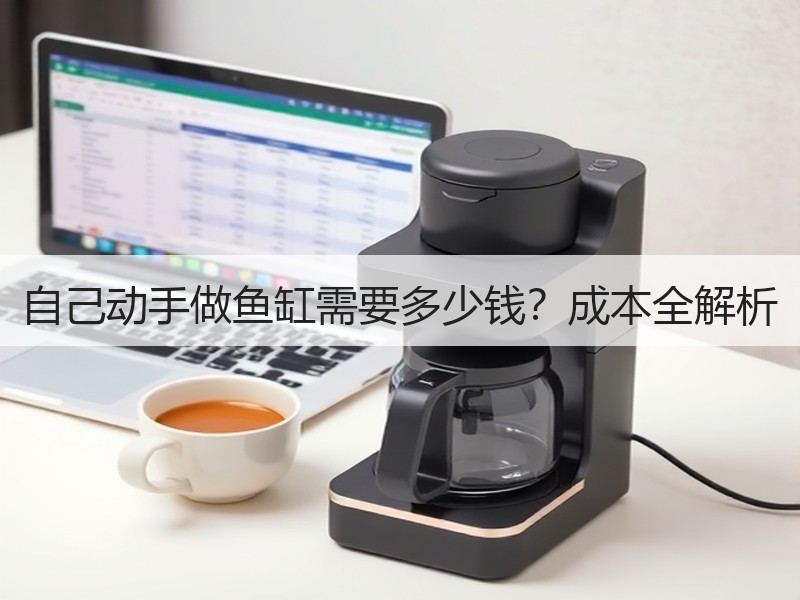 自己动手做鱼缸需要多少钱？成本全解析