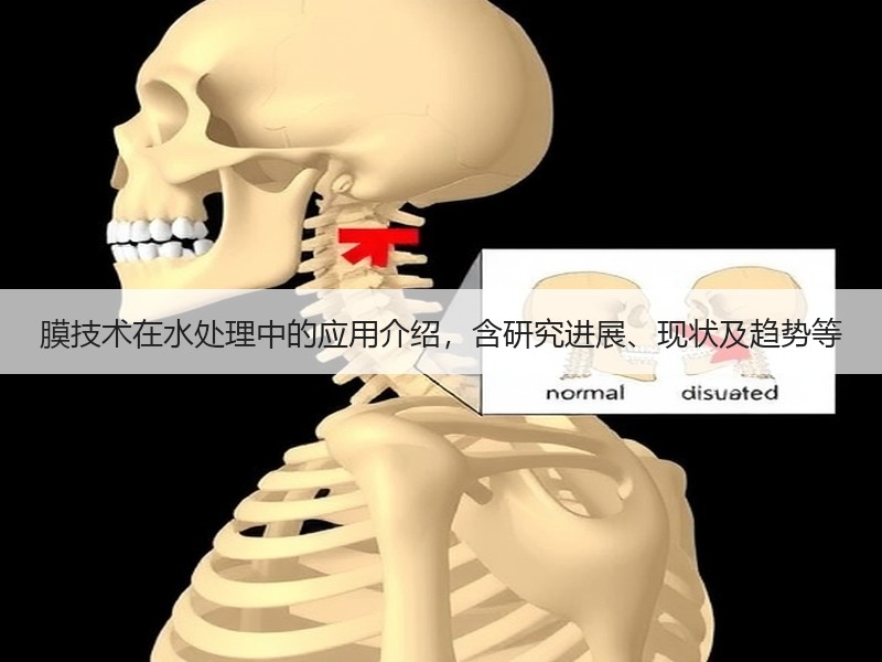 膜技术在水处理中的应用介绍，含研究进展、