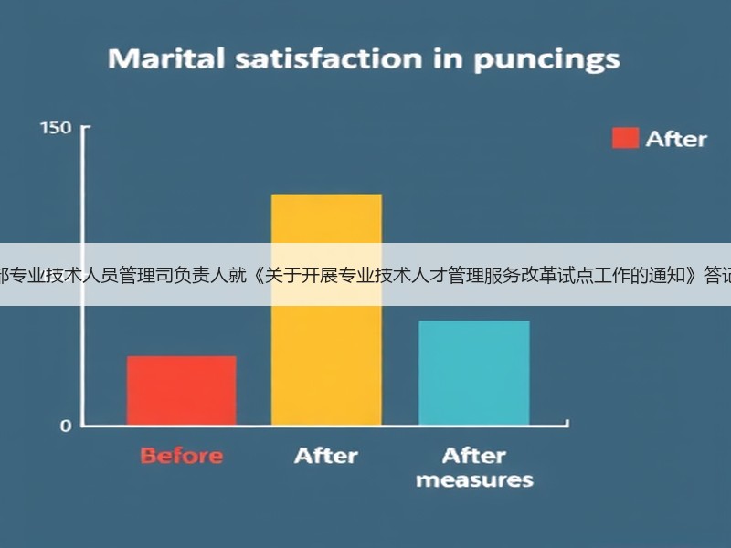 人社部专业技术人员管理司负责人就《关于开