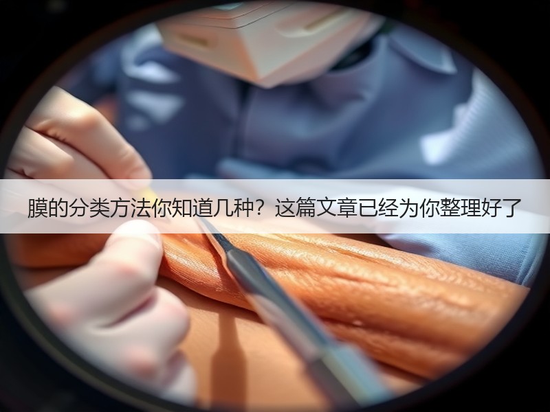 膜的分类方法你知道几种？这篇文章已经为你