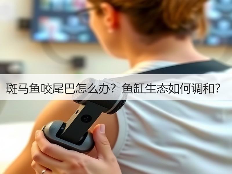 斑马鱼咬尾巴怎么办？鱼缸生态如何调和？