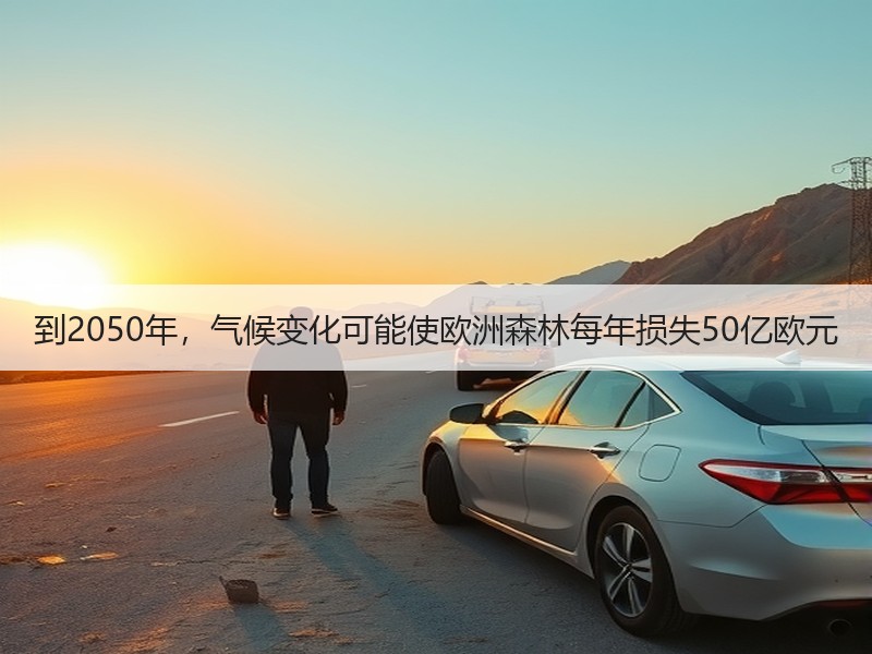 到2050年，气候变化可能使欧洲森林每年