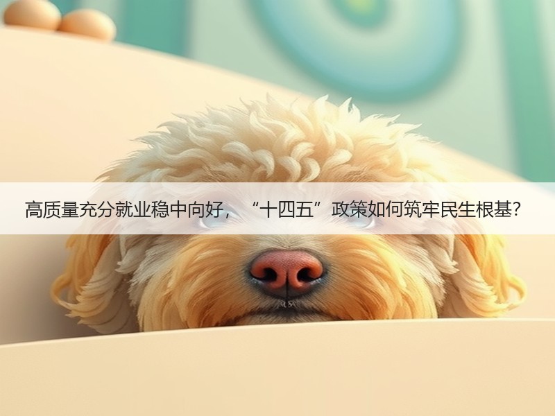 高质量充分就业稳中向好，“十四五”政策如