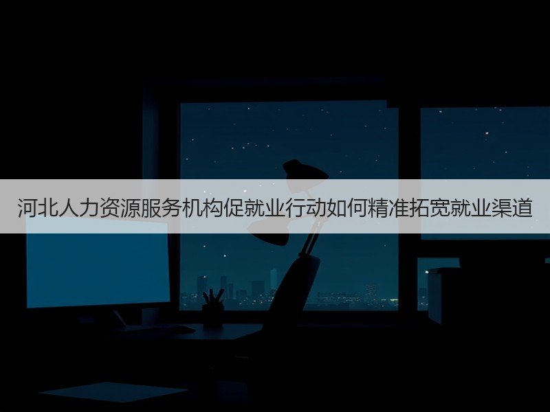 河北人力资源服务机构促就业行动如何精准拓