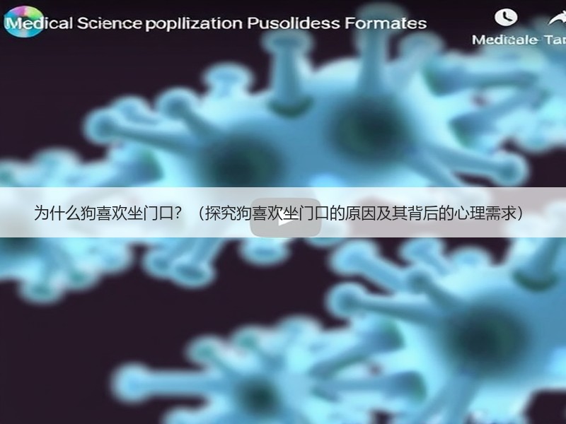 为什么狗喜欢坐门口？（探究狗喜欢坐门口的