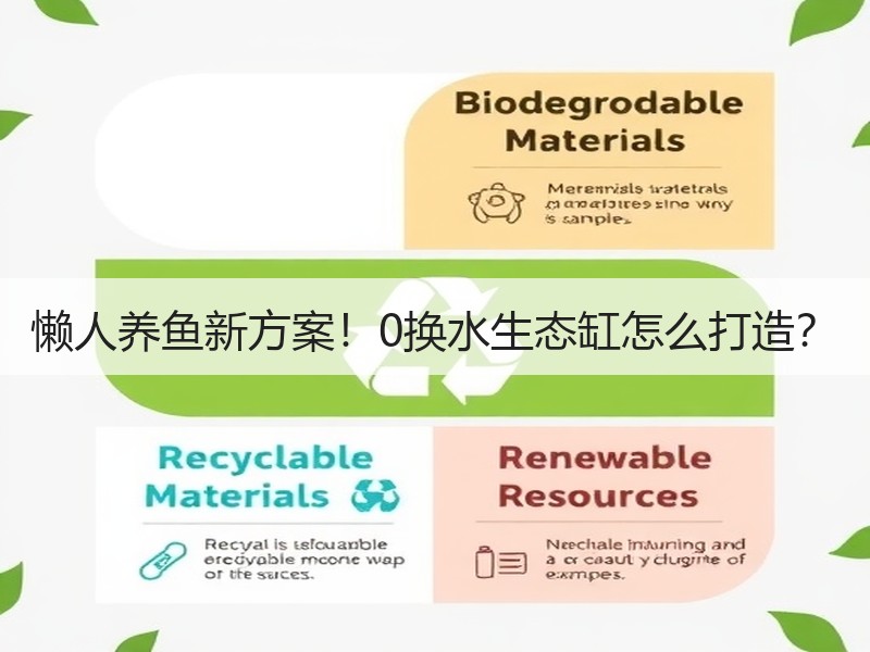 懒人养鱼新方案！0换水生态缸怎么打造？