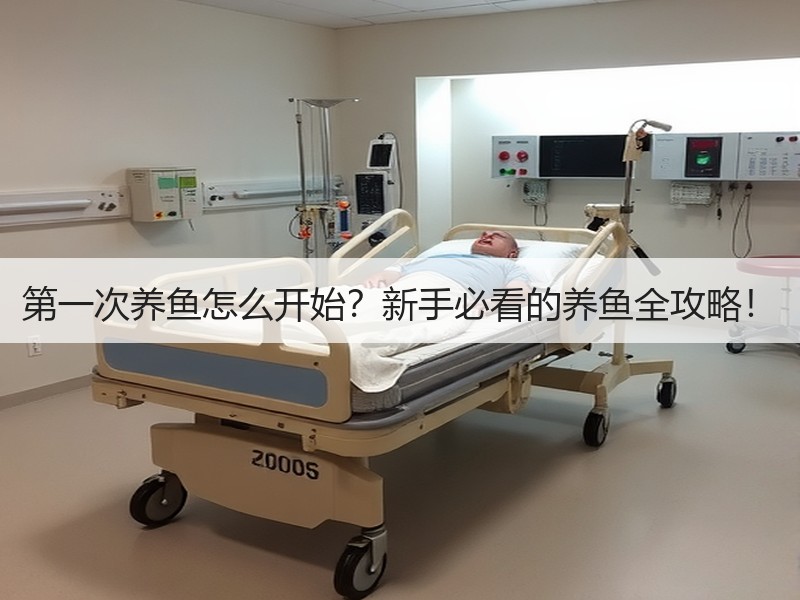 第一次养鱼怎么开始？新手必看的养鱼全攻略