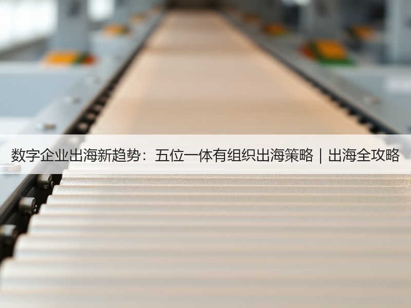 数字企业出海新趋势：五位一体有组织出海策