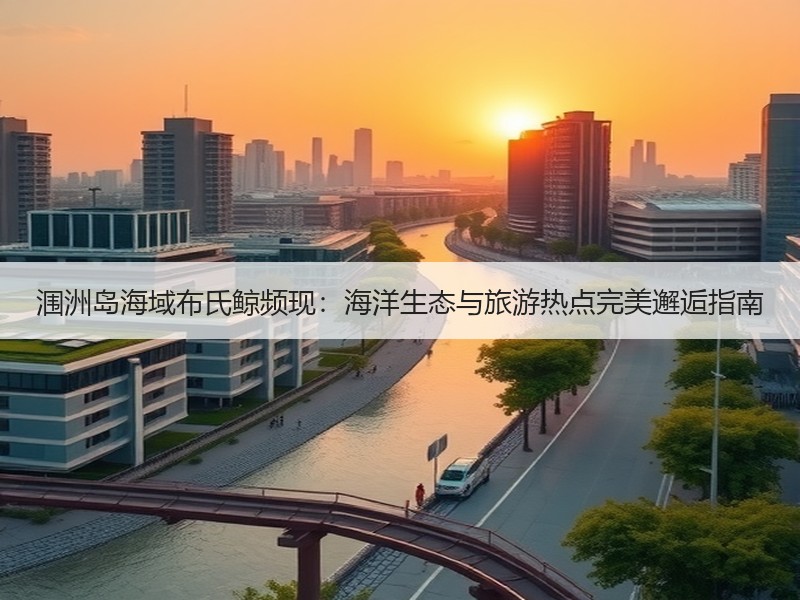 涠洲岛海域布氏鲸频现：海洋生态与旅游热点