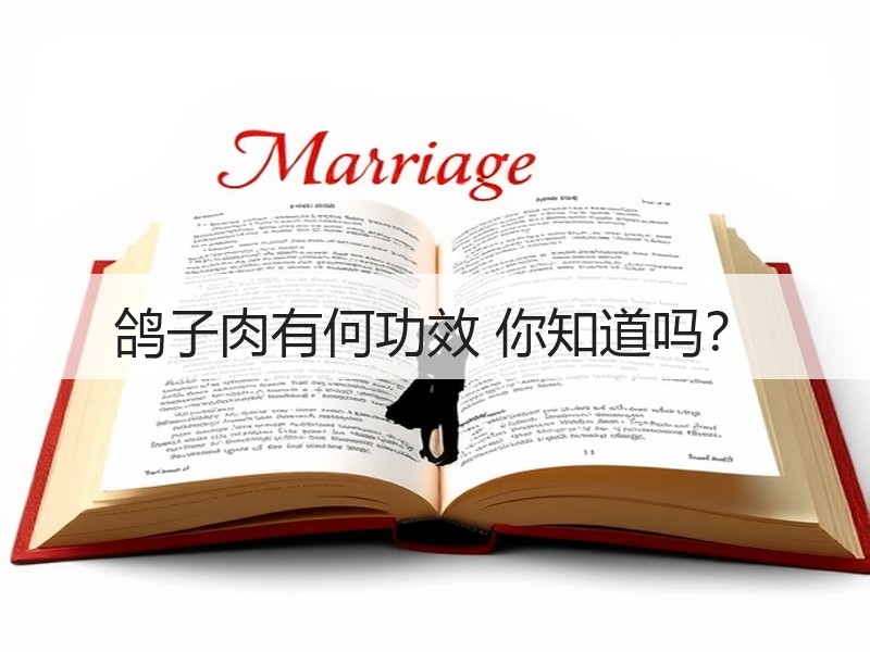 鸽子肉有何功效 你知道吗？