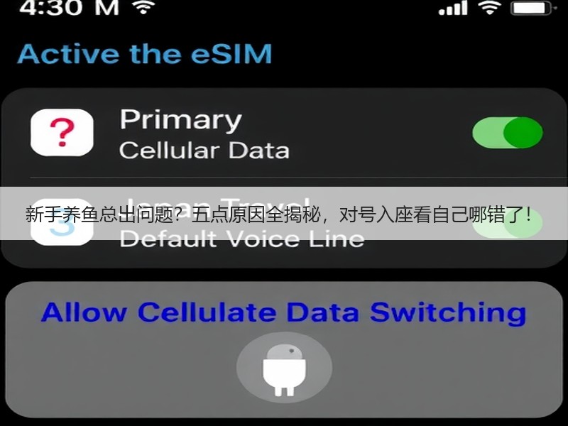 新手养鱼总出问题？五点原因全揭秘，对号入