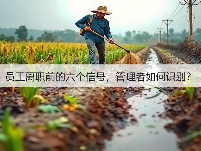员工离职前的六个信号，管理者如何识别？