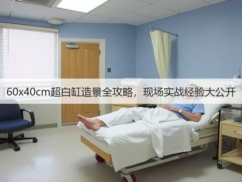 60x40cm超白缸造景全攻略，现场实战