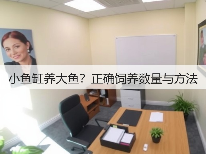 小鱼缸养大鱼？正确饲养数量与方法
