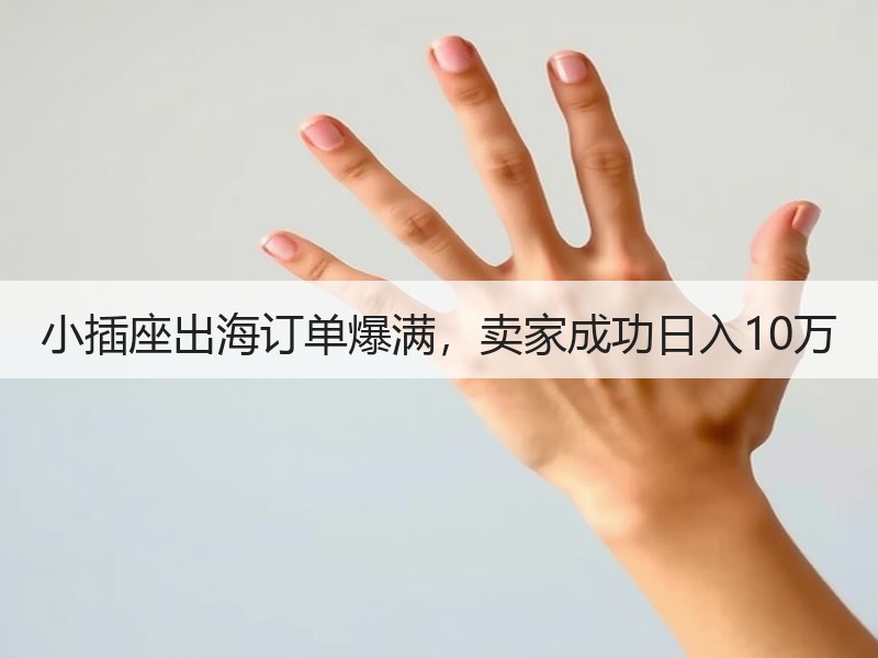 小插座出海订单爆满，卖家成功日入10万