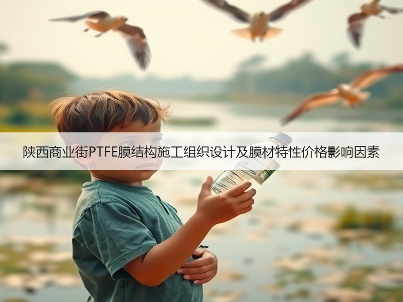陕西商业街PTFE膜结构施工组织设计及膜