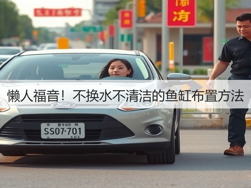 懒人福音！不换水不清洁的鱼缸布置方法