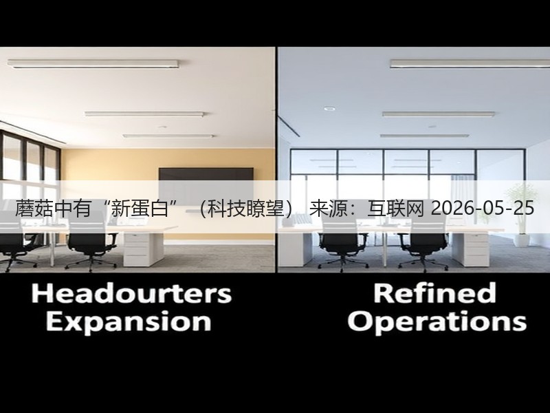蘑菇中有“新蛋白”（科技瞭望） 来源：互